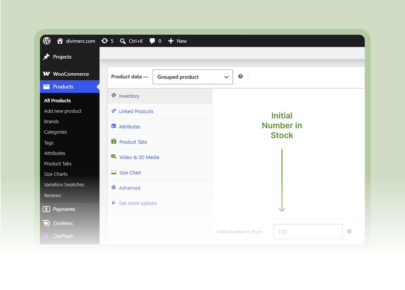 WooCommerce Initial Stock